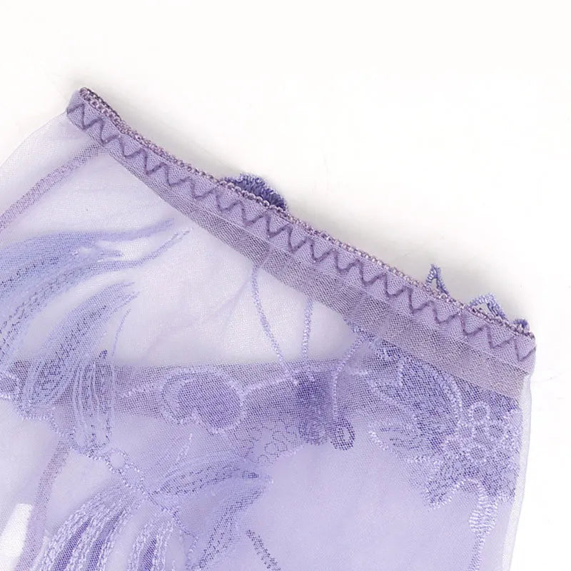 Lace Mesh Floral Embroidered Panties